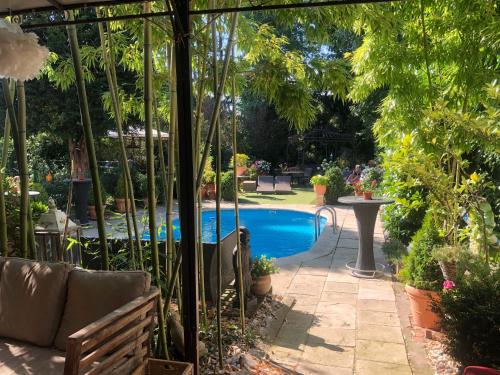 Hotel Ashley's Garden - image 6