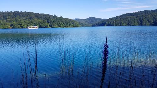 B&B Plitvice Lakes VILLA PRICA - image 2