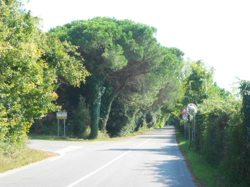 Grazia Apartment