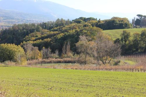 Agriturismo La Ginestrella - image 2