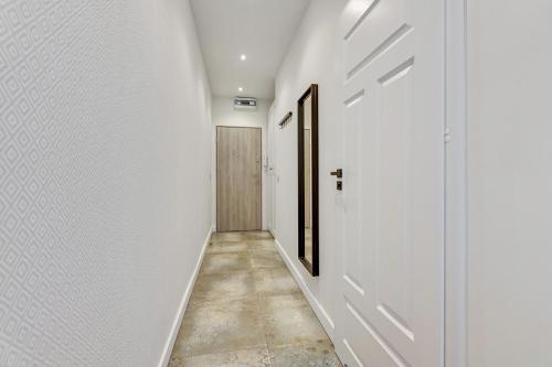 One-Bedroom Apartment image 6