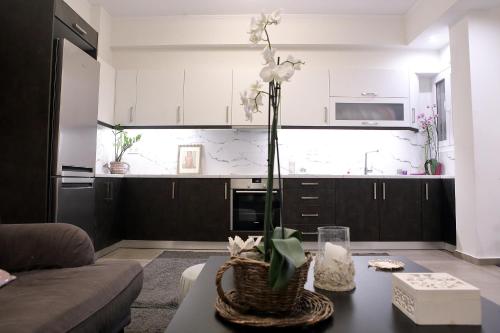 VZ Athens Apartment, Atene (foto 4)