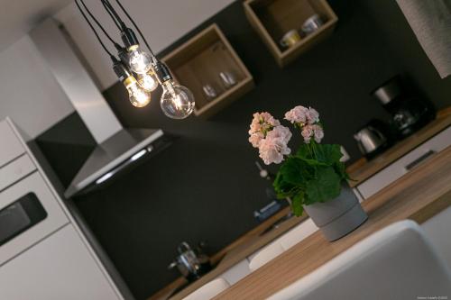 Apartment Central - image 5