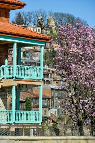 hotel Magnolia in the city centre – Kutaisi, IN