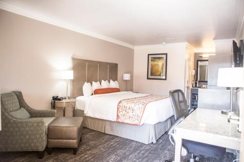 Americas Best Value Inn - Mountain View - image 5