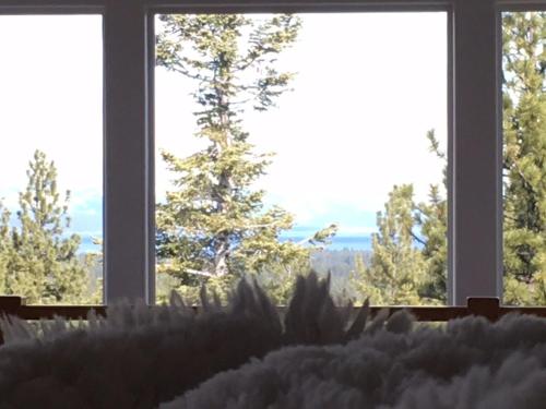 Enviable Lake & Mountain Views wth Waterfal - image 3