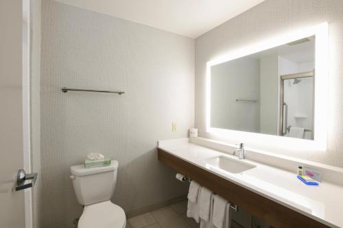 Holiday Inn Express Hotel & Suites Richwood - Cincinnati South an IHG Hotel - image 7