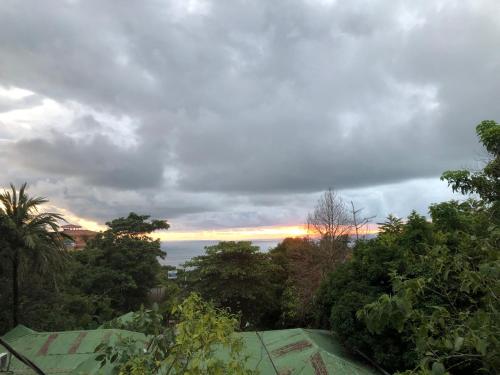 View, Cockatoo Studio Apartments in Quepos