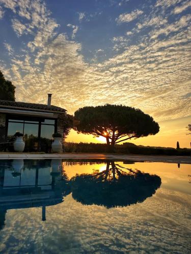 Villa Alba photo 22
