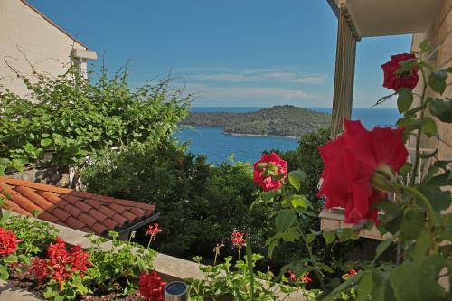 Argosy near Old Town with sea view and free parking