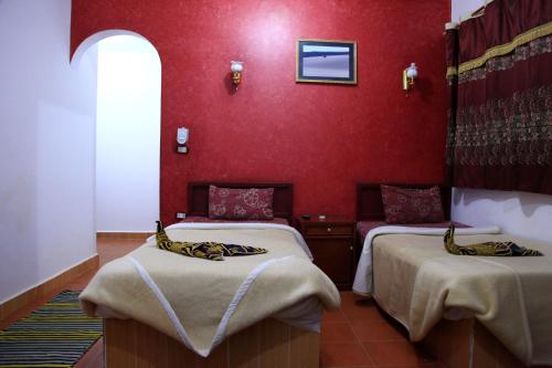 Western Desert Hotel & Safari photo 3