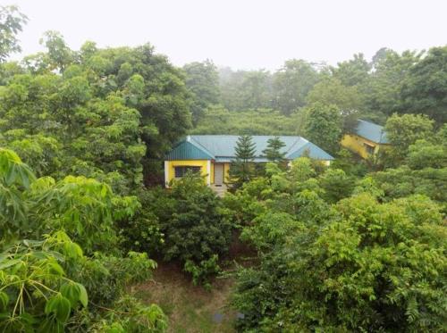 Jaldapara Inn Resort photo