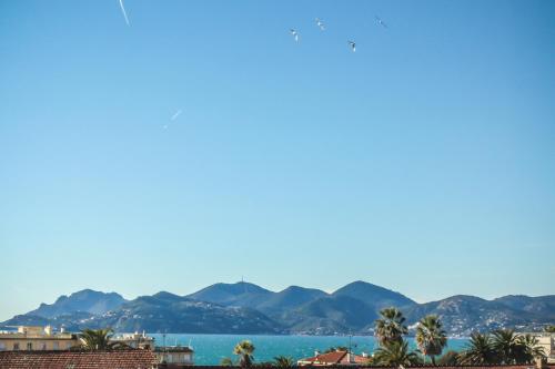 Appartements Villa Les Palmes拉斯帕尔马斯别墅公寓图片