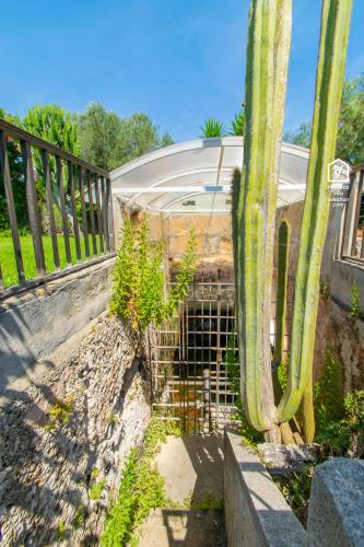 Holiday Home image 7