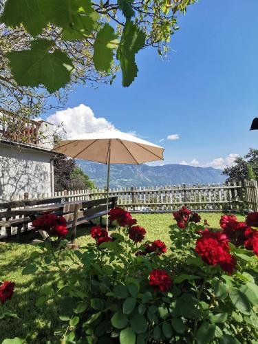 Glögglhof cottage Pavicolo