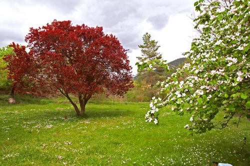 Rural Salut - Cal Peguera, casa de cuento en medio del bosque