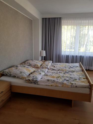 Apartament Aleksandra we Wielu z widokiem na jezioro