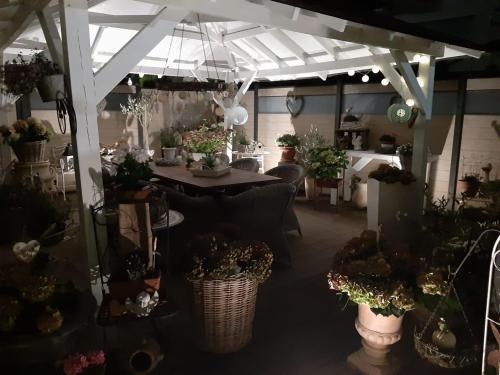 Landhaus Julia in Kobern-Gondorf