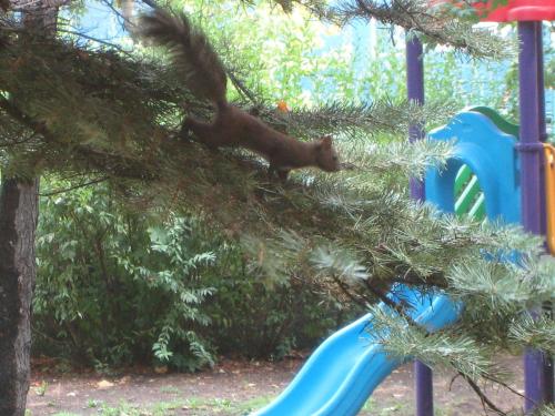 Family Hotel Familya - image 12