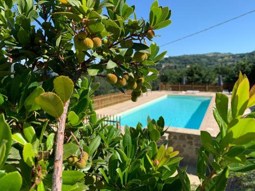 Agriturismo La Palazzetta di Assisi