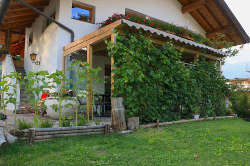 B&B Frühlingsheim