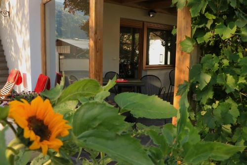 B&B Frühlingsheim