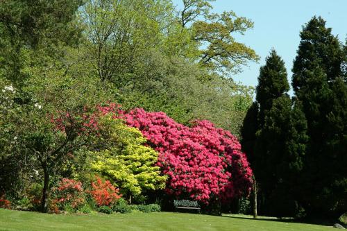 Northcote Manor - Country House Hotel, Restaurant & Spa, Devon