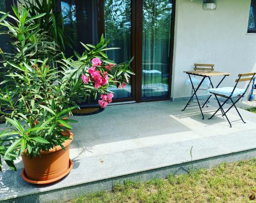 Aviator Boutique Residence 2