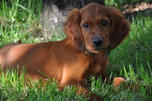 Agriturismo Corte Moranda