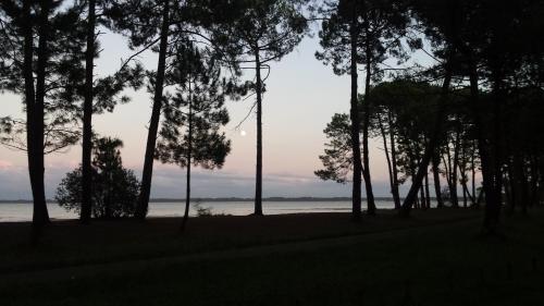 Villa Bisca Golf - image 11