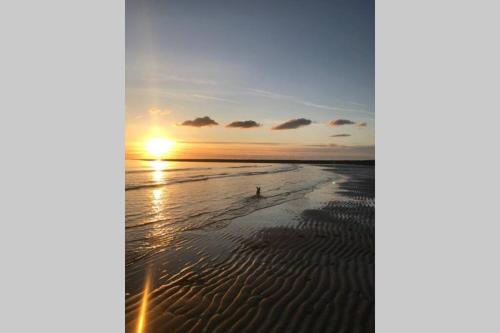 Cosy, Coastal Retreat with a Large Garden Cosy, Coastal Retreat with a Large Garden