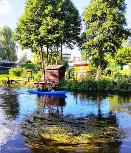 Poddasze, Zblewo (photo 7)