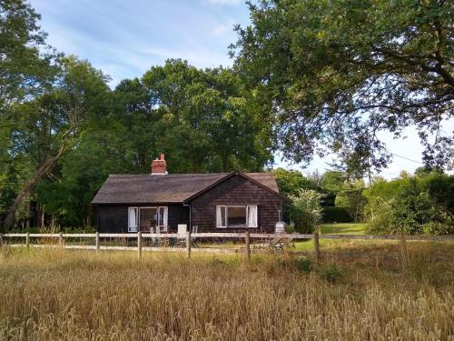 Rustic Woodland Cottage, , Hampshire