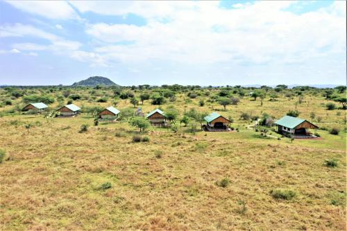 Africa Safari Serengeti Ikoma - Wildebeest migration is around!