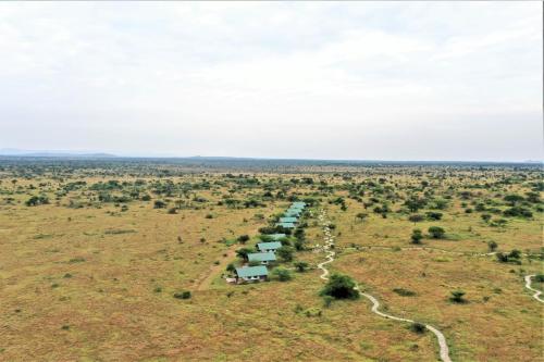 Africa Safari Serengeti Ikoma - Wildebeest migration is around!