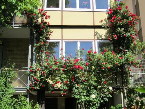 KernerApartement - image 14