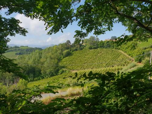 Il Giardino di Mai Exclusive B&b - image 11