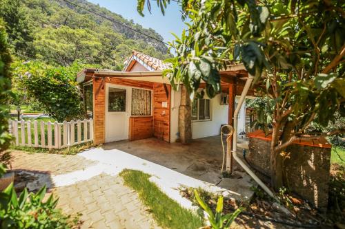 ral Villa Zeytin - image 9
