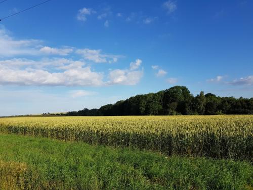 Ferienwohnung Leisnig