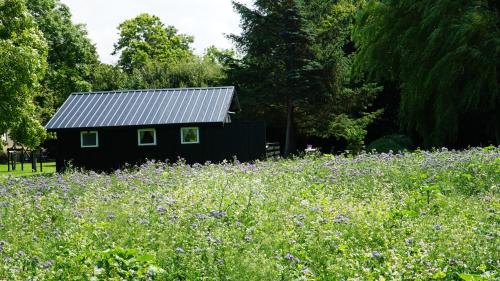 Ferienhaus Achtern Diek