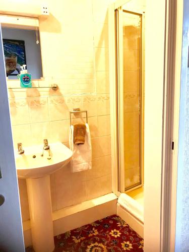Ferintosh Guest House - image 14