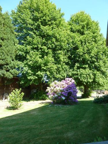 'Chez Lulu' - Gîte cocon avec bain nordique Ardenne