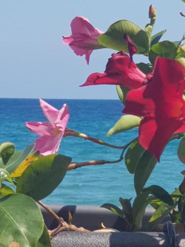  Appartamento a Alassio, zona tranquilla , posto auto. in Alassio