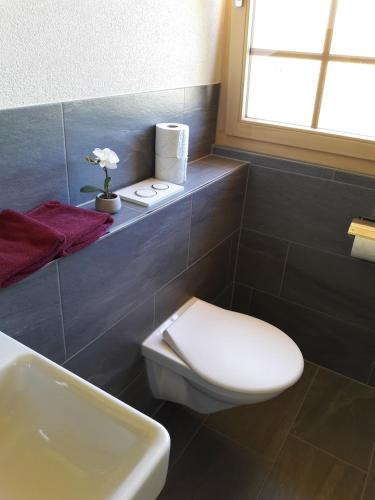 Ferien in der Bergwelt von Adelboden Room Type - Deluxe Double Room with Shower Ferien in der Bergwelt von Adelboden Room Type - Deluxe Double Room with Shower
