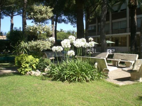 Casa per Ferie San Gaetano - Santa Severa - Roma