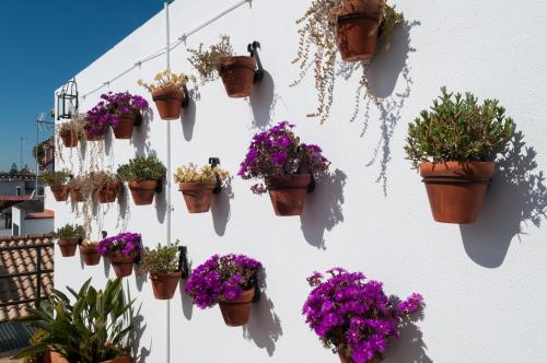 Hotel Murillo - image 7