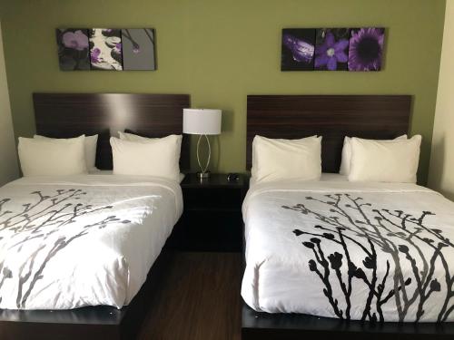 Sleep Inn & Suites Quebec City East