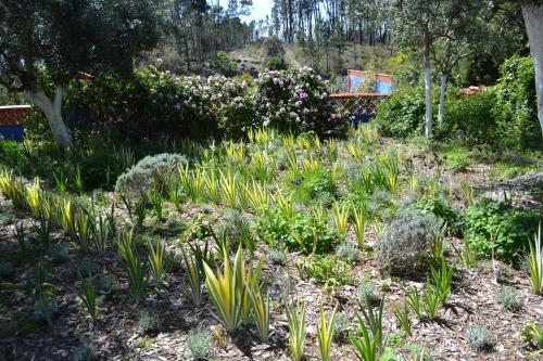  Casa Aloes Quinta das Mil Flores in Pedrógão Grande