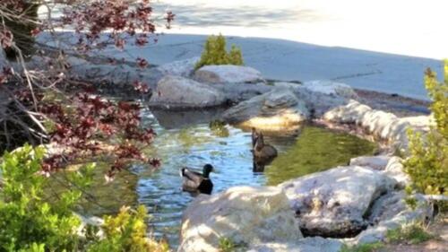 North Bay At Lake Arrowhead in Lake Arrowhead, USA