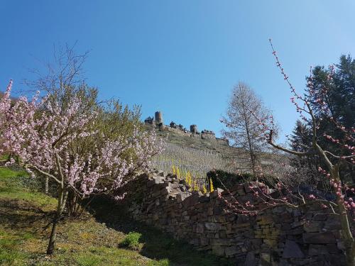 Surrounding environment, Zum Bachhexje in Alken